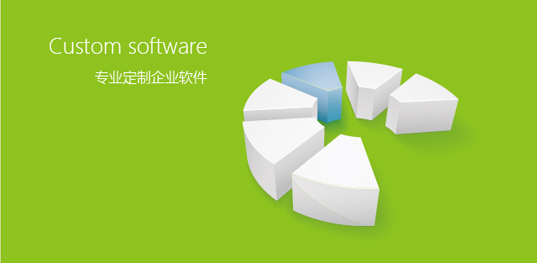 專業(yè)定制企業(yè)軟件